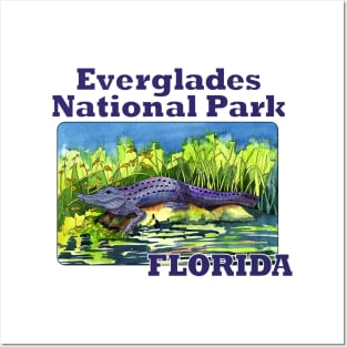 Everglades National Park, Florida Posters and Art